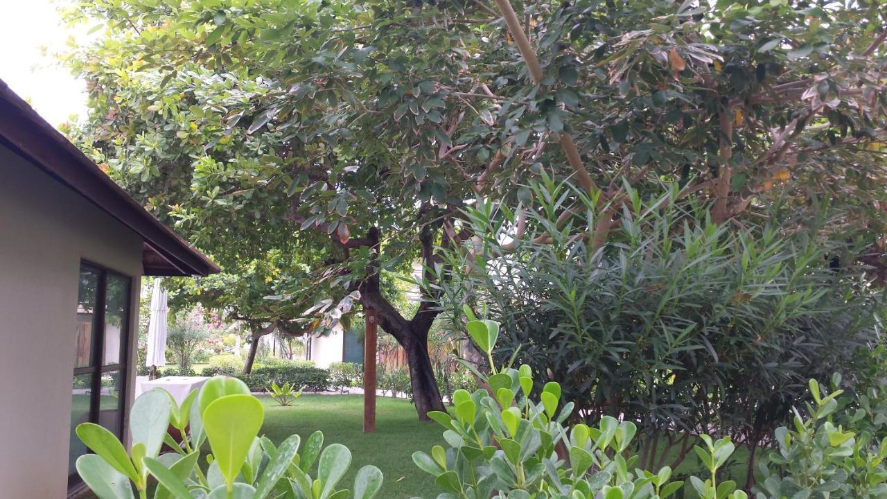 Carneiros Beach Resort Tamandaré Dış mekan fotoğraf